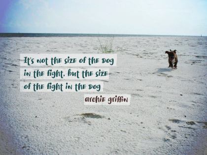 It Is Not the Size of the Dog - Motivational/Inspirational Wallpaper (Downloadable JPEG)