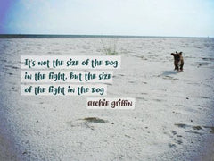 It Is Not the Size of the Dog - Motivational/Inspirational Wallpaper (Downloadable JPEG)