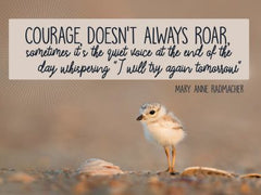 Courage Doesn't Always Roar - Motivational/Inspirational Wallpaper (Downloadable JPEG)