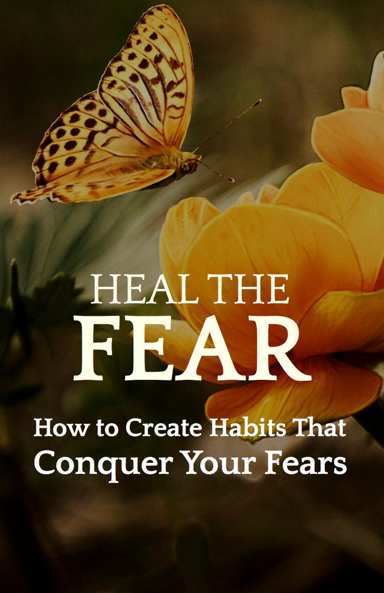 Heal the Fear - How to Create Habits That Defeat Your Fears- eBook – (Downloadable – PDF)